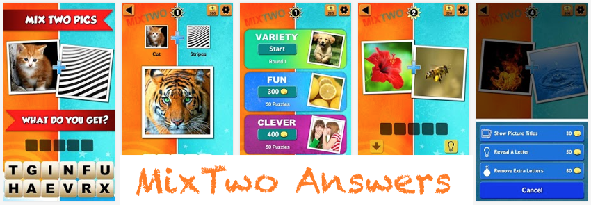 level-2-mix-two-answers