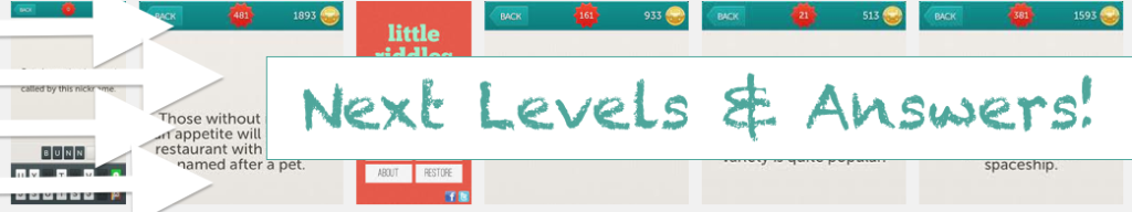 Little-Riddles-Answers-Next-Level